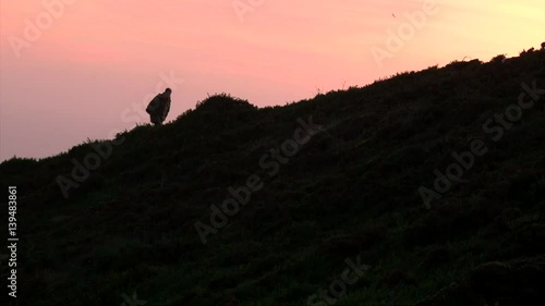 Tourist man with a backpack going up by mountain hill, beautiful orange sunset sky