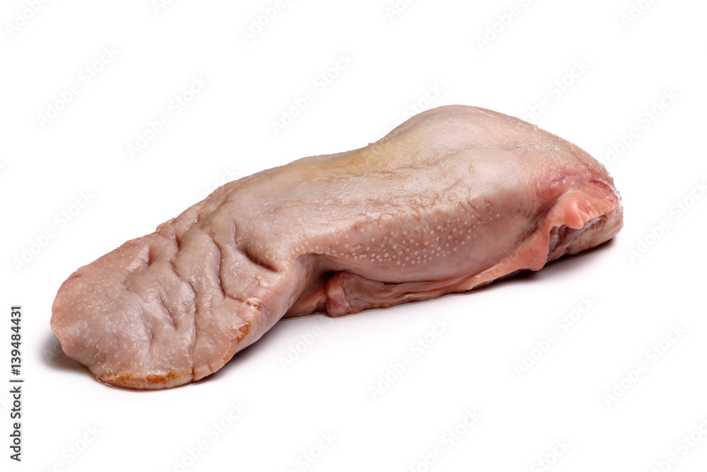 Raw pork tongue on a white background. Not isolated.