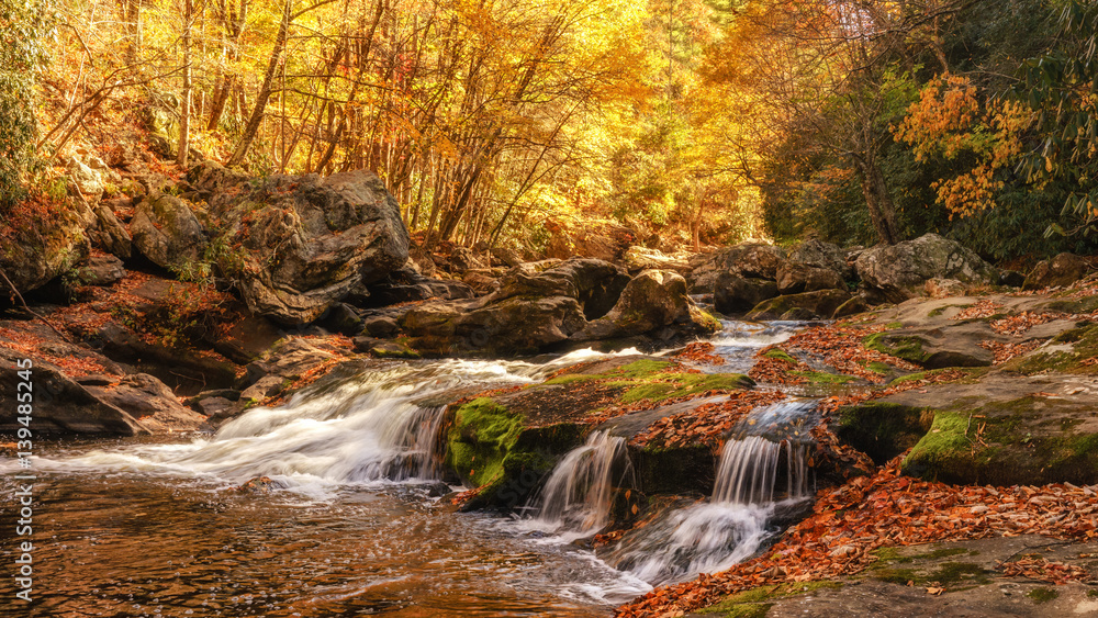 Fototapeta premium Cullasaja Rapids in Autumn near Highlands North Carolina 