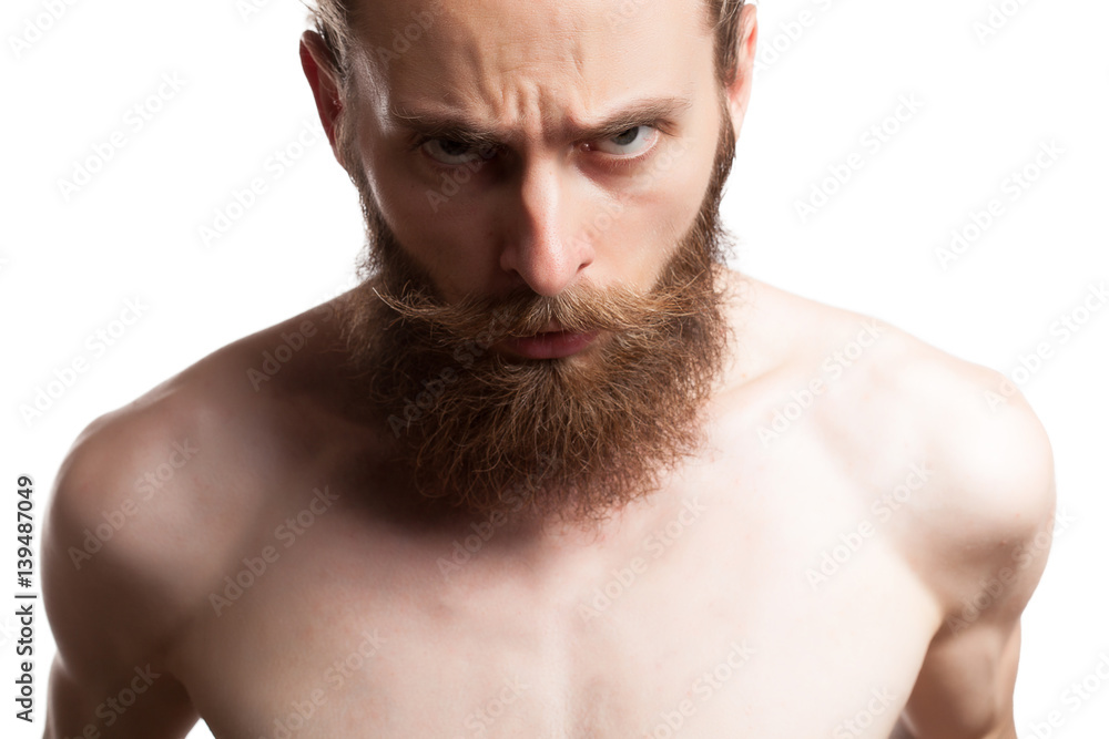 Cool man with long beard in studio photo Cool man with long beard in studio photo