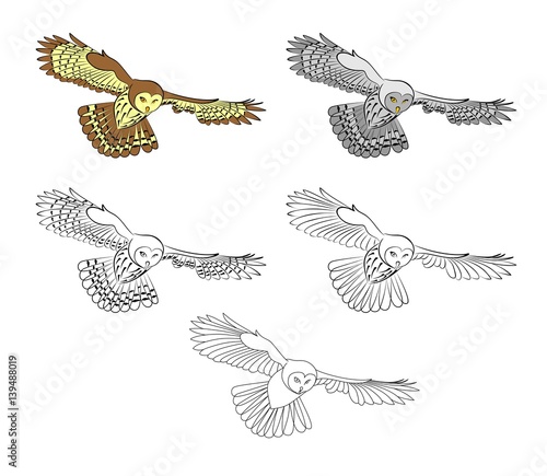 Owl, flying night bird. Illustrations in several variants for your selection. Black and white, color, ability to change colors. Suitable for a coloring book.