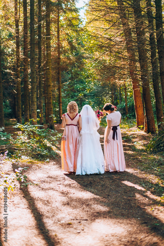 The bride with bridesmaids running along in pine forest park. Sunny day. Perfect light. The bride with bridesmaids running along in pine forest park. Sunny day. Perfect light.