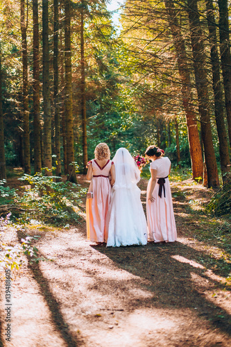 The bride with bridesmaids running along in pine forest park. Sunny day. Perfect light.