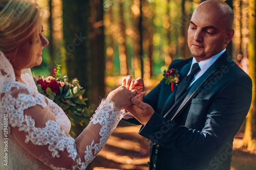 Newly married couple posing and kissing in pine forest sundusk. photo