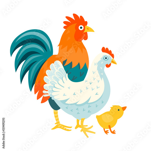 Group of domestic funny birds vector illustration cartoon style