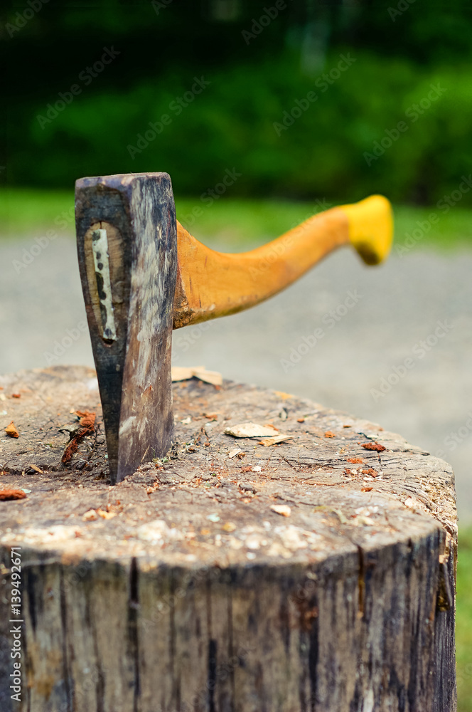 Wood chopping axe stuck in tree stump. Selective focus on hatchet blade stuck in old tree log, with forest in the background. This axe is commonly used in making and cutting firewood. Wood chopping axe stuck in tree stump. Selective focus on hatchet blade stuck in old tree log, with forest in the background. This axe is commonly used in making and cutting firewood.