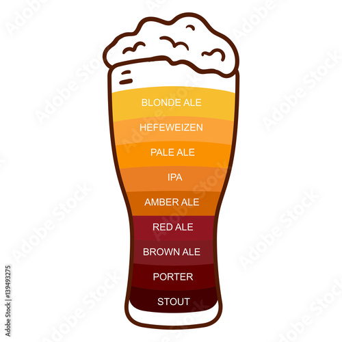 Beer glass craft vintage type infographic chart