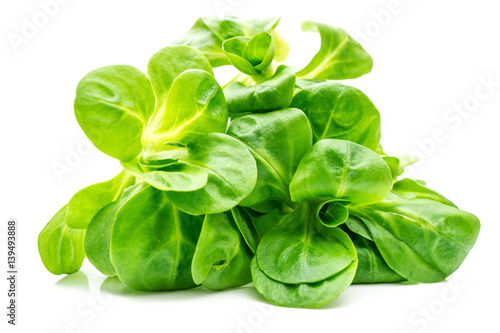 Foto Feldsalat isoliert