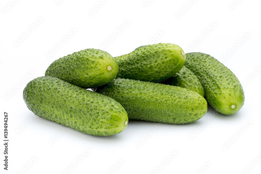 The first spring ecologically cucumbers. The first spring ecologically cucumbers.