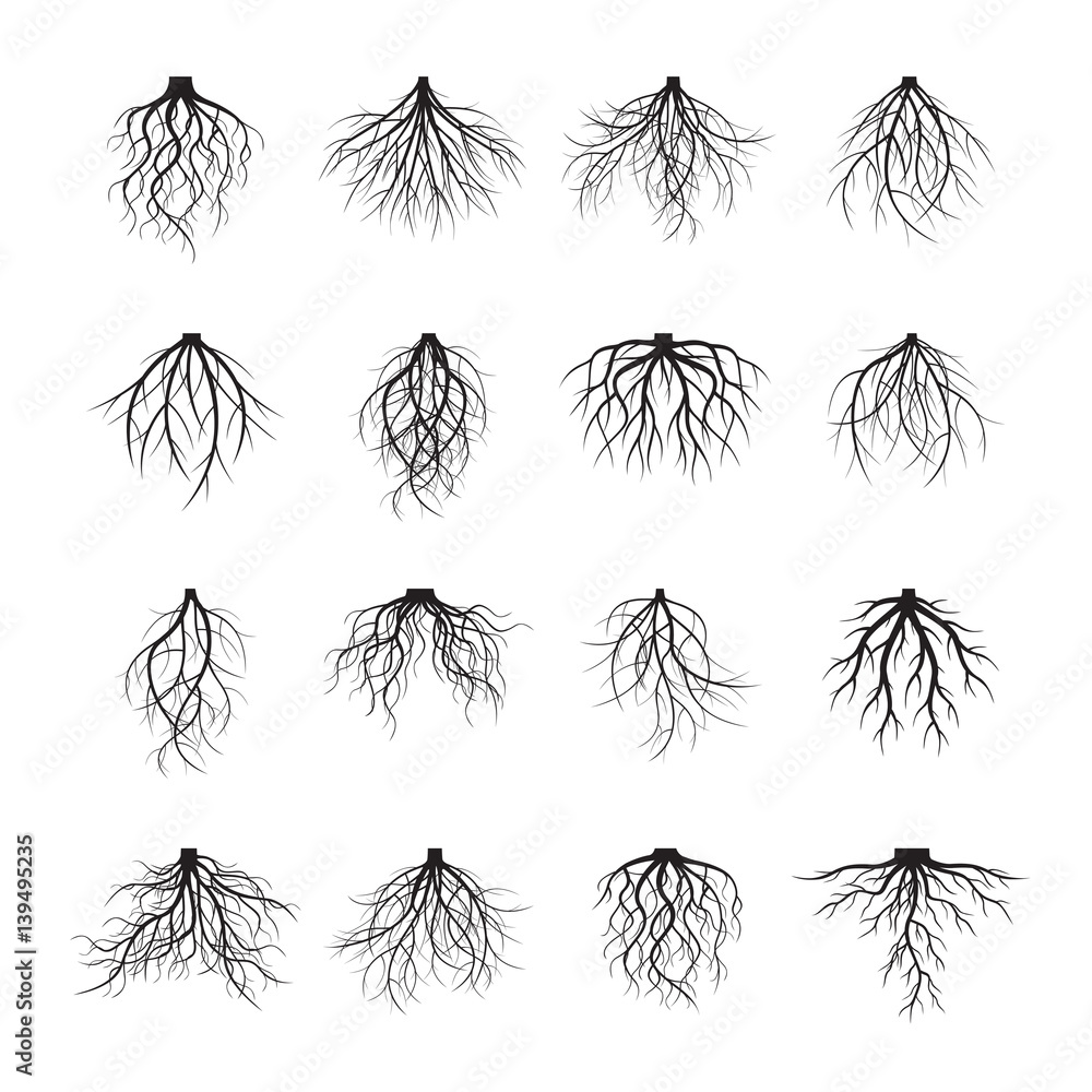 Big Set of black Roots. Vector Illustration.