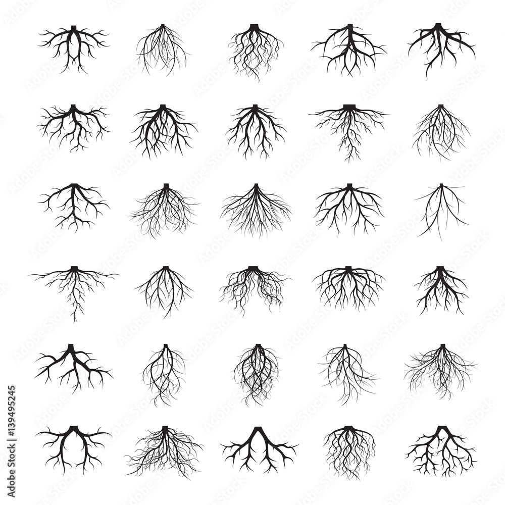 Naklejka premium Duży zestaw korzeni i elementów drzew. Ilustracji wektorowych.