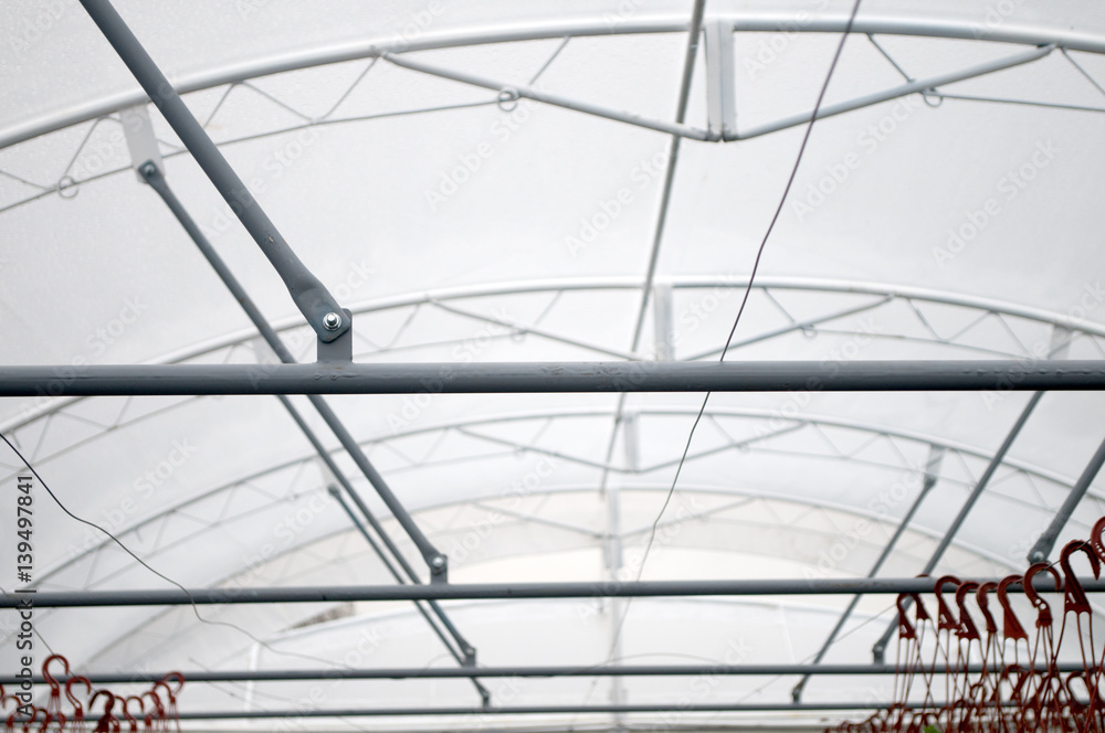 Modern greenhouse for flowers and plants in Serbia Modern greenhouse for flowers and plants in Serbia