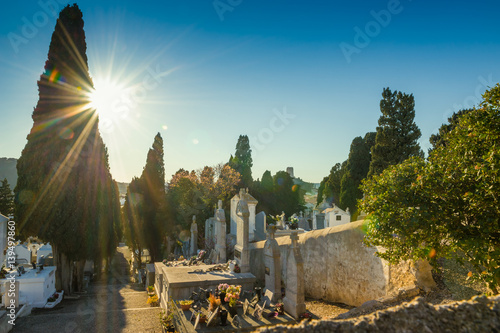 Friedhof von Gruissan-Village mit strahlender Sonne im Gegenlicht photo