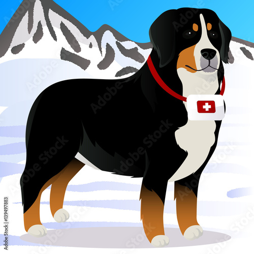 Bernes Mountain dog lifesaver in mountains photo