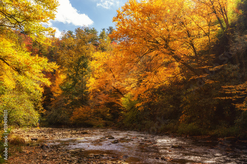 Fall colors on the Linville River off the Blue Ridge Parkway
