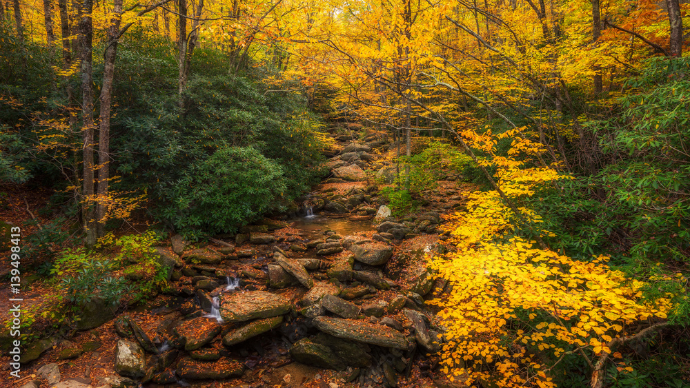 Grandfather Mountain Tanawha Trail in Autumn Grandfather Mountain Tanawha Trail in Autumn