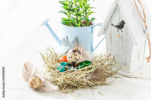 Colorful Easter eggs in nest and white birdhouse