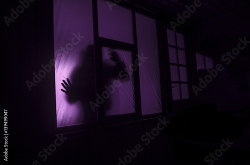 Horror concept. The silhouette of a human with sprayed arms in front of a window. at night.