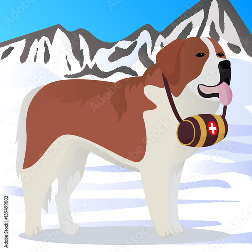 St Bernard dog lifesaver in mountains