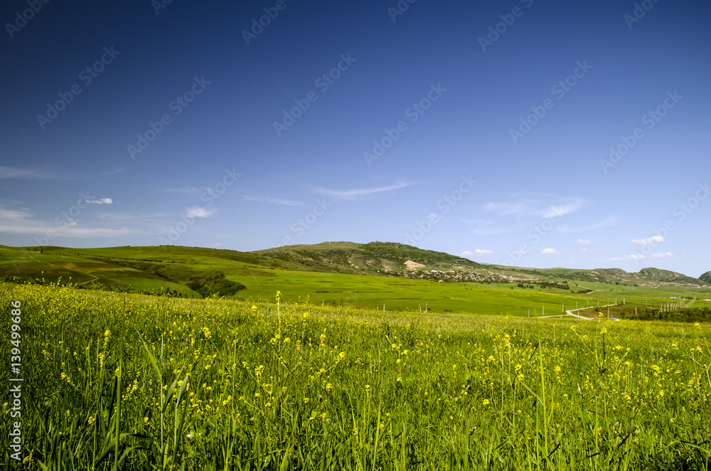 Green meadow in mountain. Composition of nature. Beautiful landscape of Big Caucasus spring view of nature. Spring in Azerbaijan. Shamakhi Ismailli