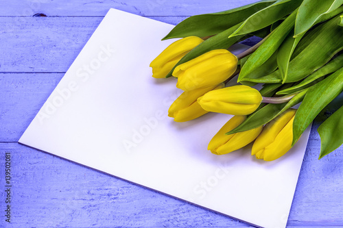 Yellow easter tulips