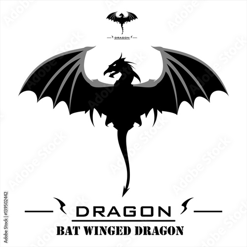 Dragon. Bat Winged Dragon with the Whipped Tail