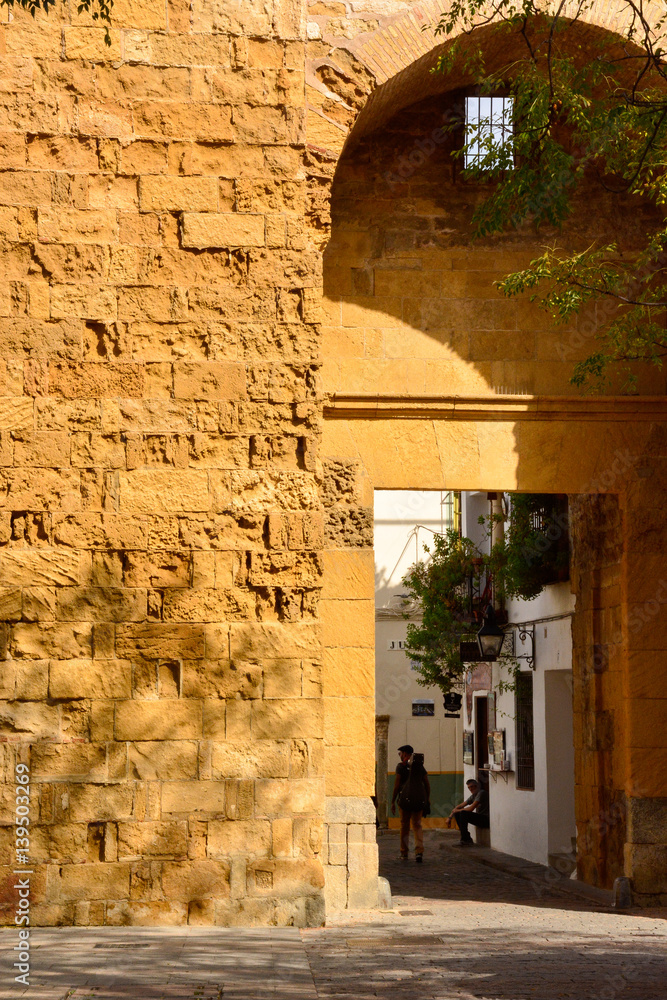 Obraz premium Spanish Vignette