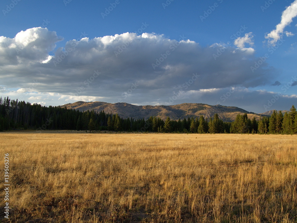 Evening golden glow on field and mountain