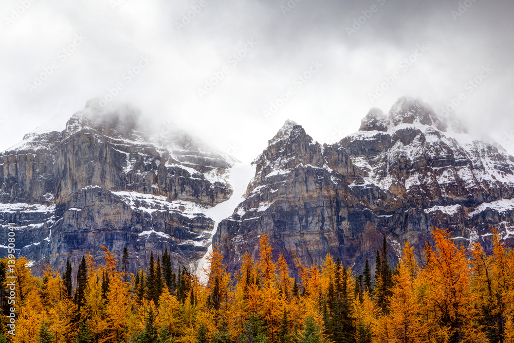 Larch Valley in the Canadian Rockies