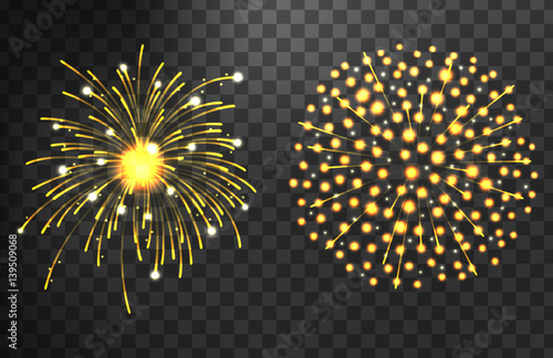 Firework different shapes colorful festive vector.