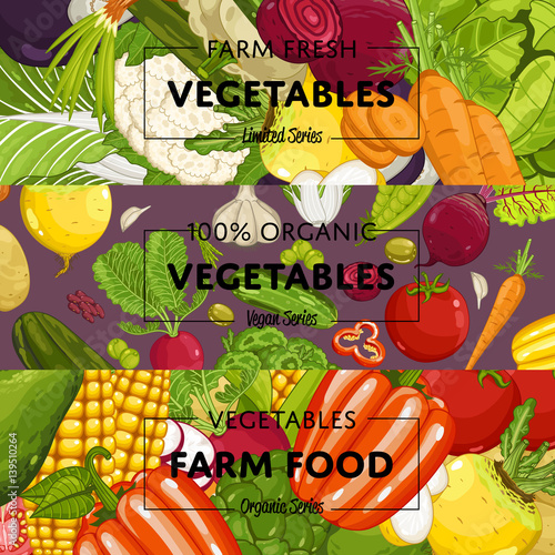 Organic vegetable farming flyers set vector illustration. Natural growing vegetable, vegan retail, product store poster. Healthy farm food advertising with patison, cucumber, cabbage, tomato, pepper