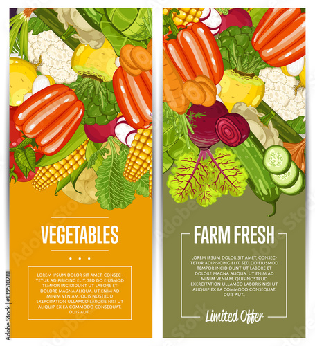 Organic vegetable farming flyers set vector illustration. Locally grown vegetable, vegan retail, natural product. Healthy farm food advertising with broccoli, potato, corn, cabbage, tomato, radish