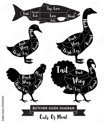Butcher guide cuts of meat diagram. Vector illustrations.