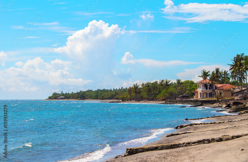 Fototapeta premium Tropical landscape with sea, beach and palm tree. Sand beach view with palms and house.
