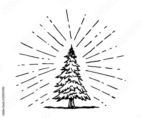 pine tree drawing in doodle style