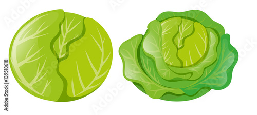 Cabbages on white background