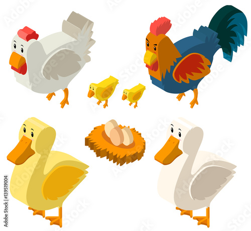 3D design for chickens and eggs
