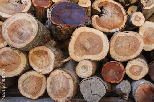 Wood logs background.