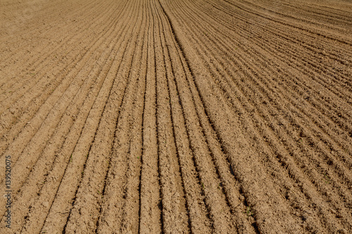 The arable field. Poor sandy and loamy soil of CentralEurope. Produced sowing of grain. A smooth groove