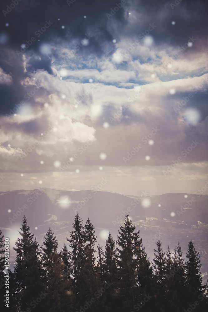 Naklejka premium Снегопад в Карпатских горах