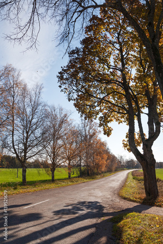 Autumn time in latvian countryside.