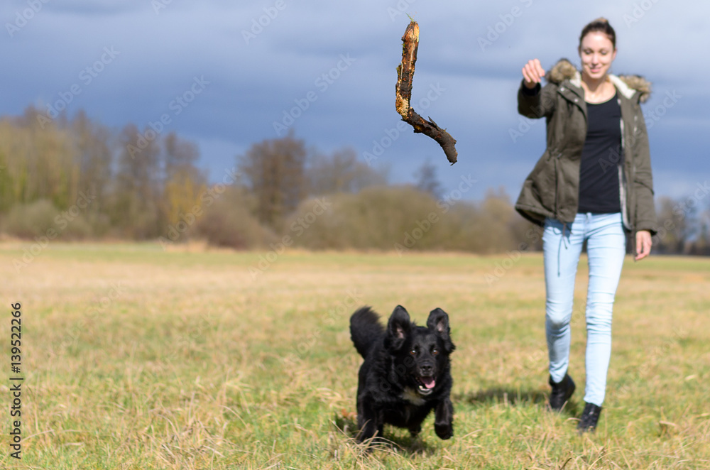 Young woman throwing a stick for her dog to chase