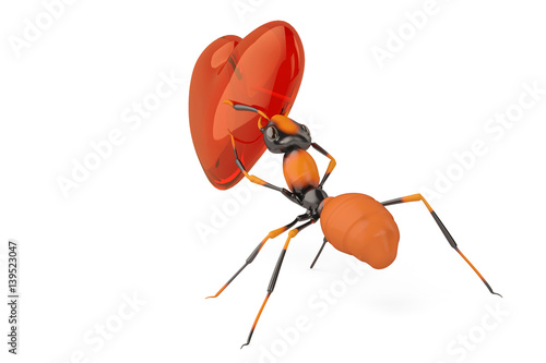 An ant with red heart.3D illustration. photo