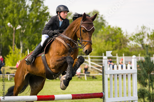 Fototapeta horse jumping