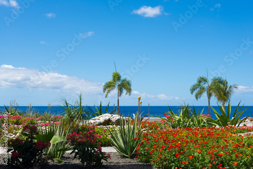 Dream travel destination all year - Caribbean islands, blue sea and colorful flowers