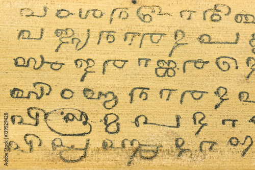 detail of a preserved palm leaf (borassus flabellifer) manuscripts showing writings about ayurvedic medicines in old malayalam script from Kerala, India