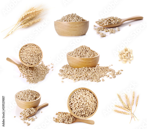 Photo Ear of barley sets on white background.