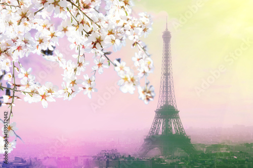 Aerial view of Paris cityscape with Eiffel tower at pink sunset . Vintage colored picture. Business, Love and travel concept © sergeialyoshin