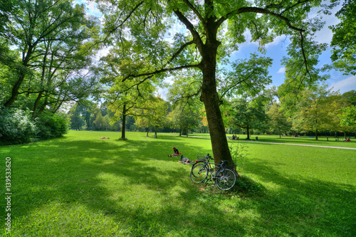 Sommertag im Englischen Garten, idyllische Wiese im ruhigen Nordteil mit Besuchern