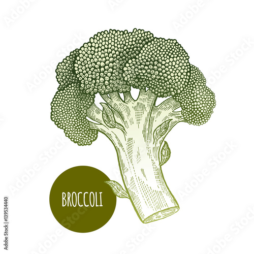 Broccoli isolated on white background.